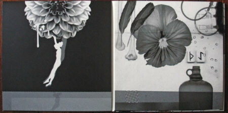Elemental Parts One & Two: Chrysanthe & Violetta - Image 2