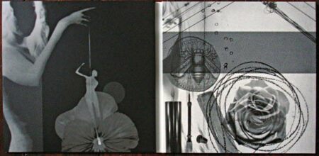 Elemental Parts One & Two: Chrysanthe & Violetta - Image 3
