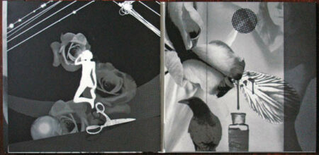 Elemental Parts One & Two: Chrysanthe & Violetta - Image 4