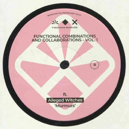 Functional Combinations And Collaborations - Vol. 1 - Image 2