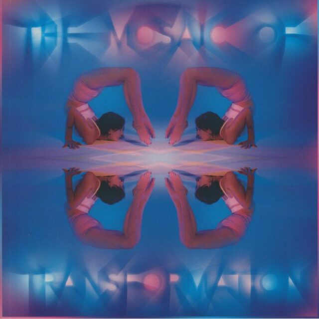 The Mosaic Of Transformation