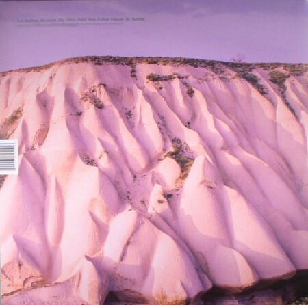 Amber - Image 2