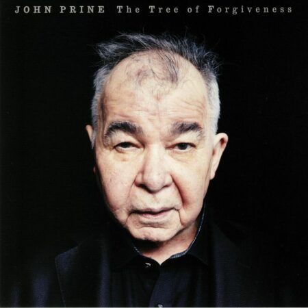 The Tree Of Forgiveness