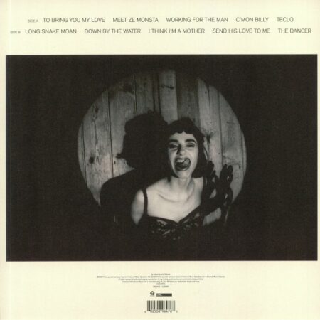 To Bring You My Love - Demos - Image 2