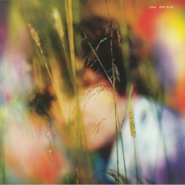 Sam Amidon