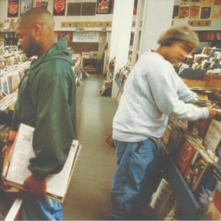 Endtroducing.....