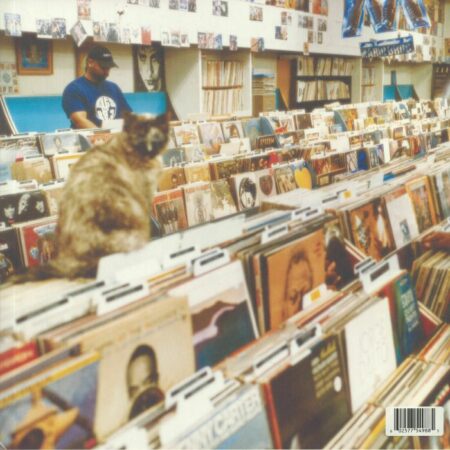 Endtroducing..... - Image 2