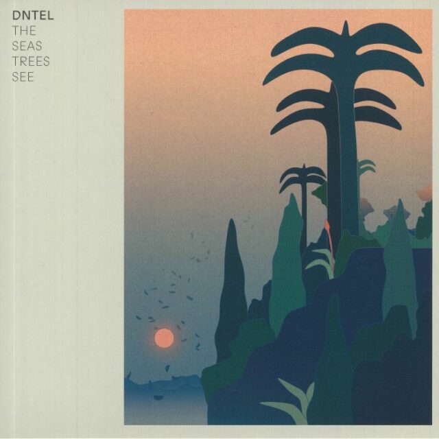 The Seas Trees See
