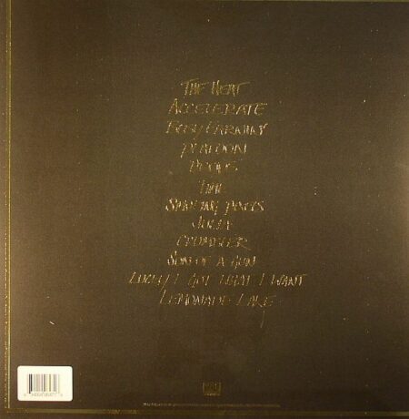 Jungle - Image 2