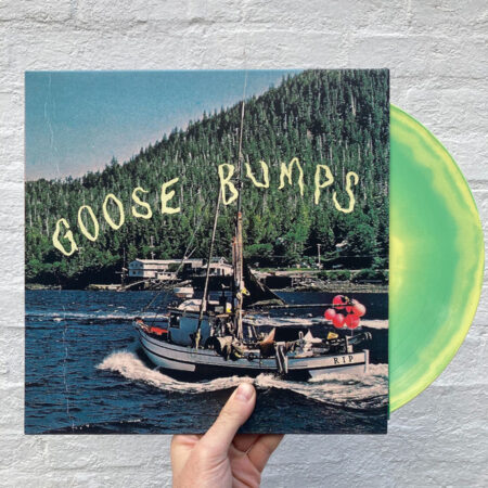 Goosebumps - Image 3