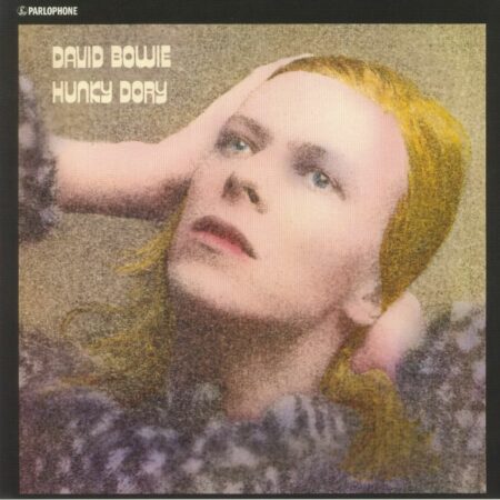 Hunky Dory
