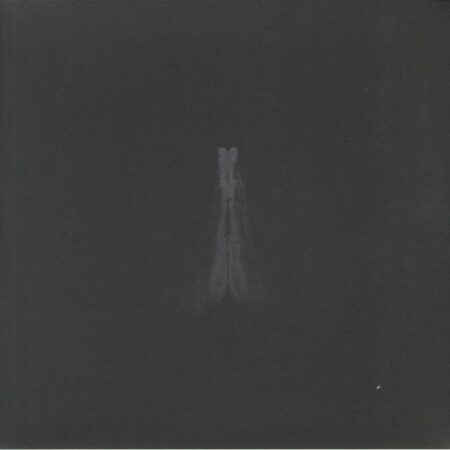 Untitled (Rise)