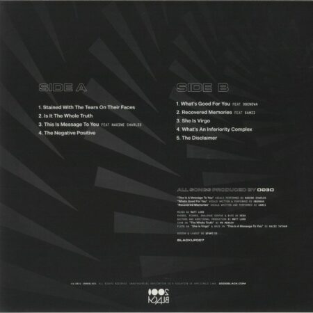 The Negative Positive - Image 2