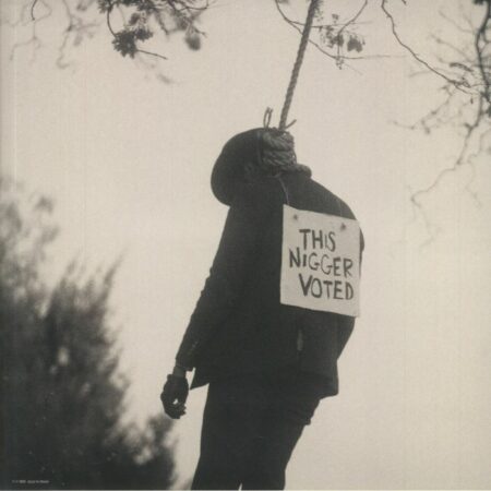 The American Negro - Image 2