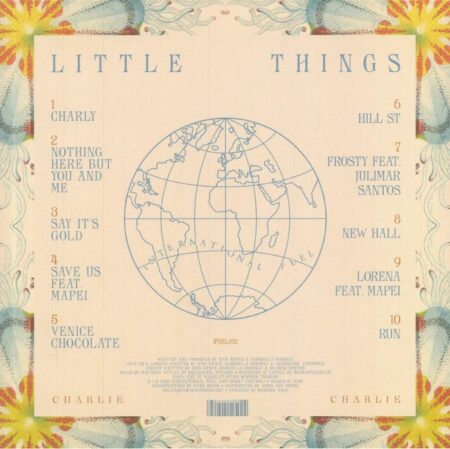 Little Things - Image 2