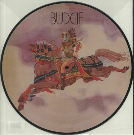 Budgie