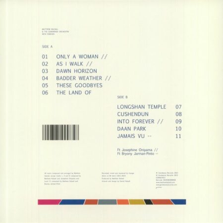 Into Forever - Image 2