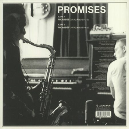 Promises - Image 2