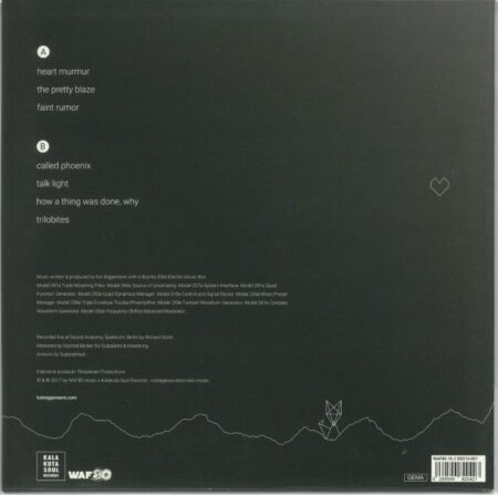 Heart Murmur - Image 2