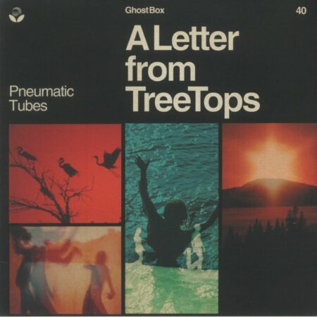 A Letter From TreeTops