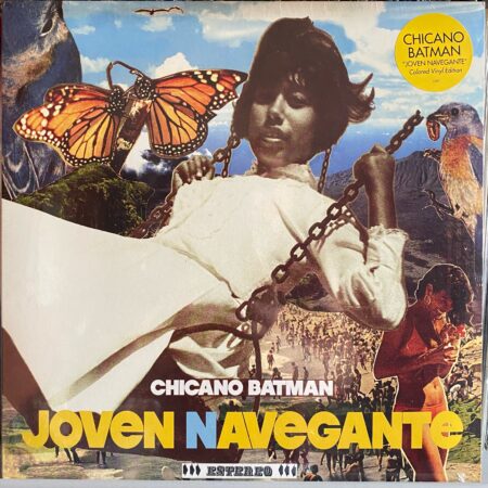 Joven Navegante