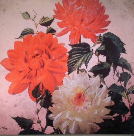 Asunder, Sweet And Other Distress - Image 2