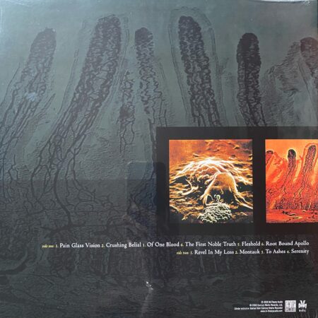 Of One Blood - Image 2