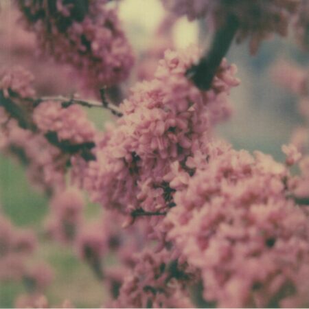Unfailing Love