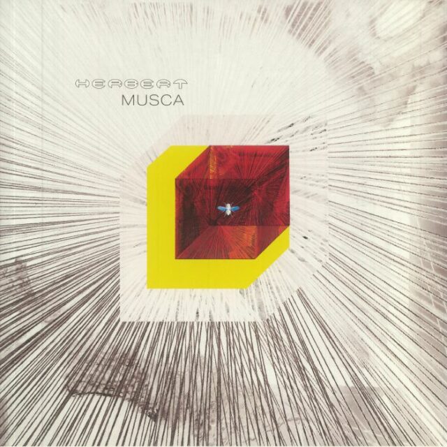 Musca