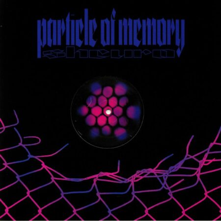 Particle Of Memory