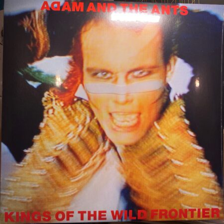 Kings Of The Wild Frontier