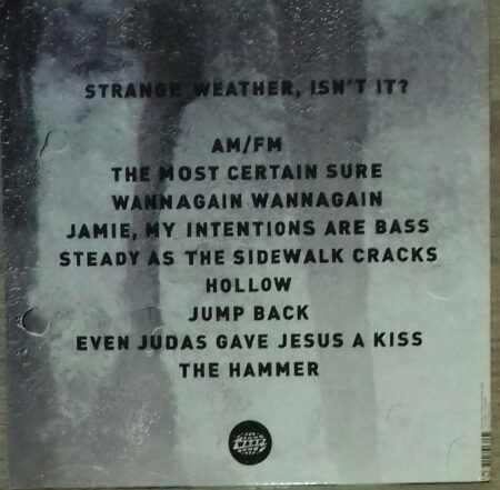 Strange Weather, Isn't It? - Image 2