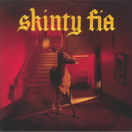 Skinty Fia
