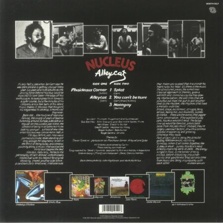 Alleycat - Image 2