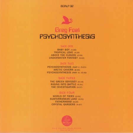 Psychosynthesis - Image 2