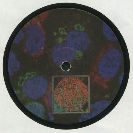 Tannins EP - Image 2