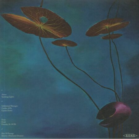 The Escape - Image 2