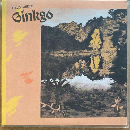 Ginkgo