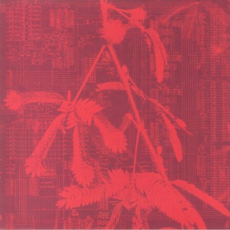Incorporeal