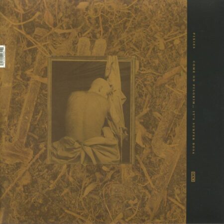 Come On Pilgrim...It's Surfer Rosa - Image 2