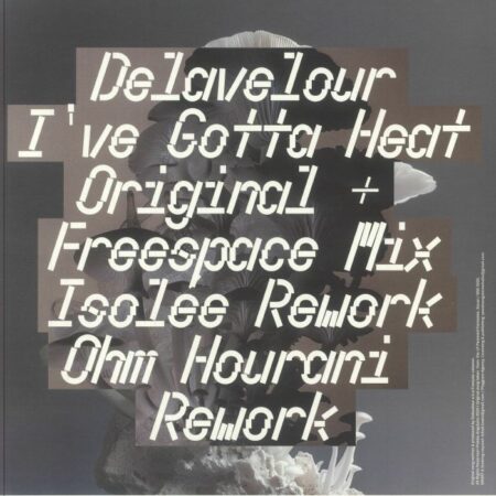 I've Gotta Heat Remixes - Image 2