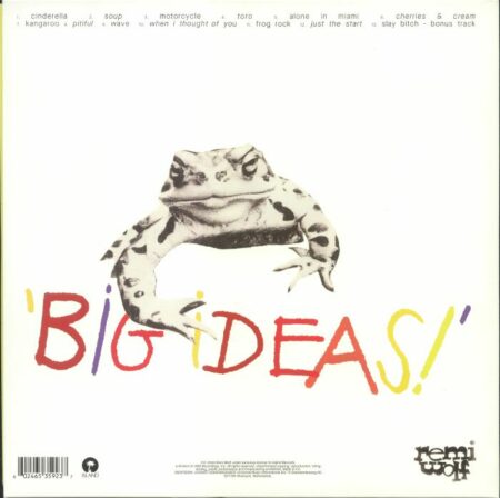 Big Ideas - Image 2