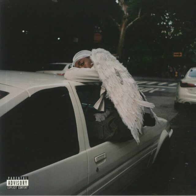 Negro Swan