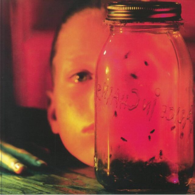 Jar Of Flies