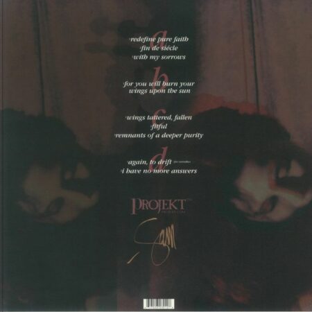 Remnants Of A Deeper Purity - Image 2