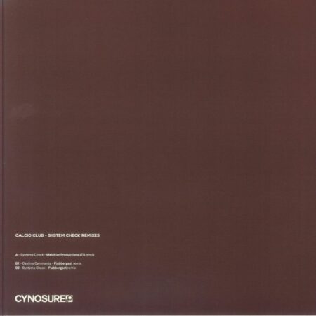 System Check Remixes - Image 2