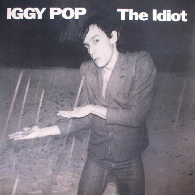 The Idiot