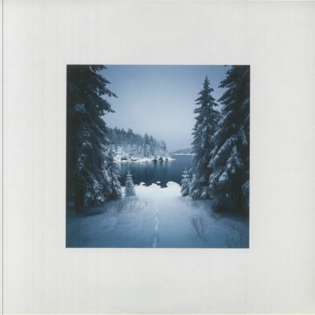 Northern Michigan Snowstorms
