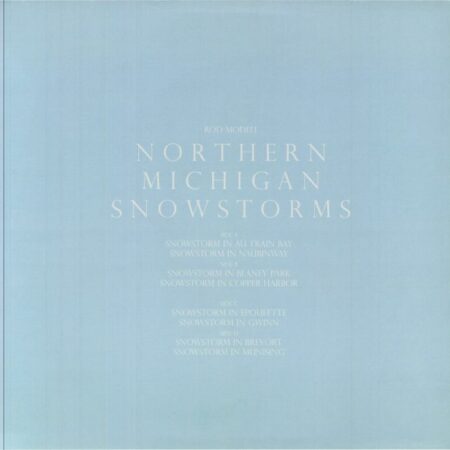 Northern Michigan Snowstorms - Image 2