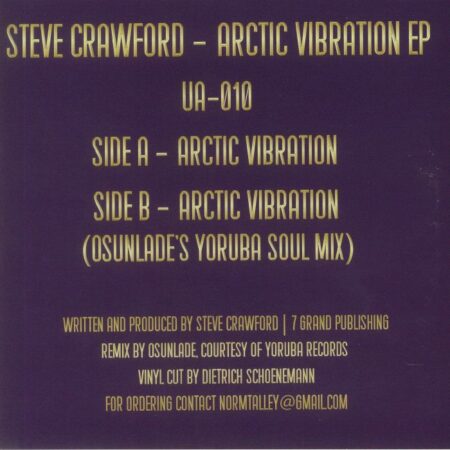 Arctic Vibration EP - Image 2